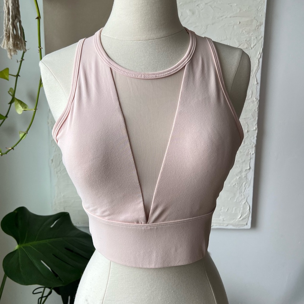 Fabletics Sheer Detailed Crop Workout Top
